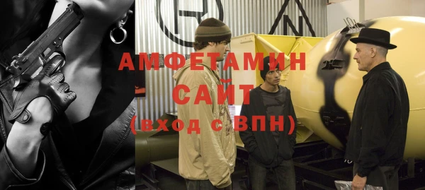 шишки Бородино