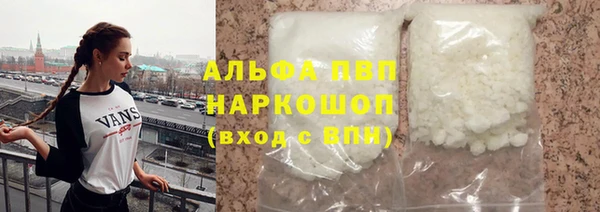 шишки Бородино