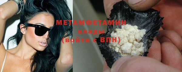 шишки Бородино