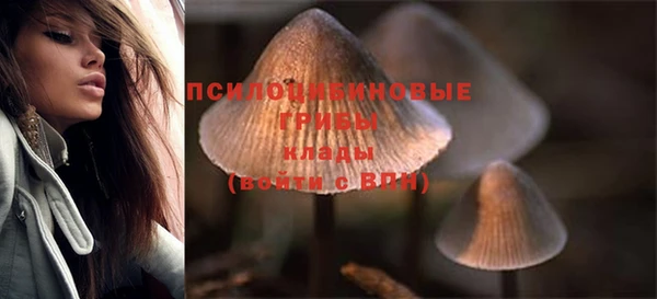 шишки Бородино