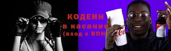 шишки Бородино