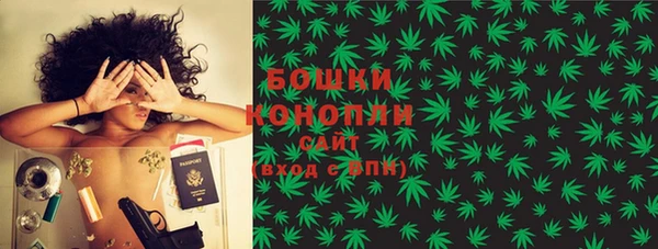 шишки Бородино