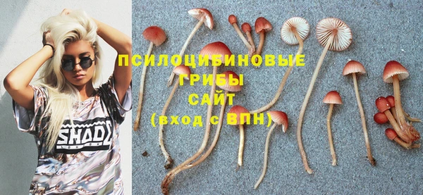 а пвп мука Бугульма