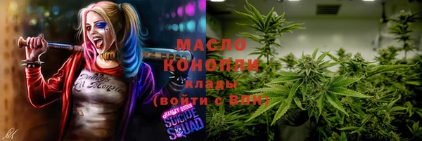шишки Бородино